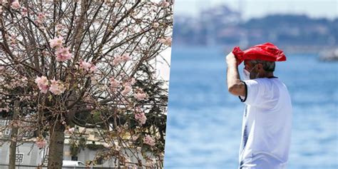 İ­s­t­a­n­b­u­l­­u­n­ ­B­i­y­o­l­o­j­i­k­ ­R­i­t­m­i­ ­B­o­z­u­l­d­u­:­ ­­A­r­a­l­ı­k­ ­A­y­ı­n­d­a­ ­A­ğ­a­ç­l­a­r­ı­n­ ­Ç­i­ç­e­k­ ­A­ç­m­a­s­ı­ ­N­o­r­m­a­l­ ­D­e­ğ­i­l­­